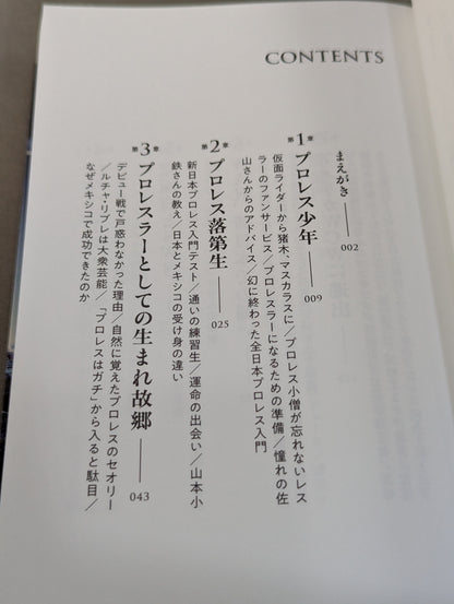 独学のプロレス