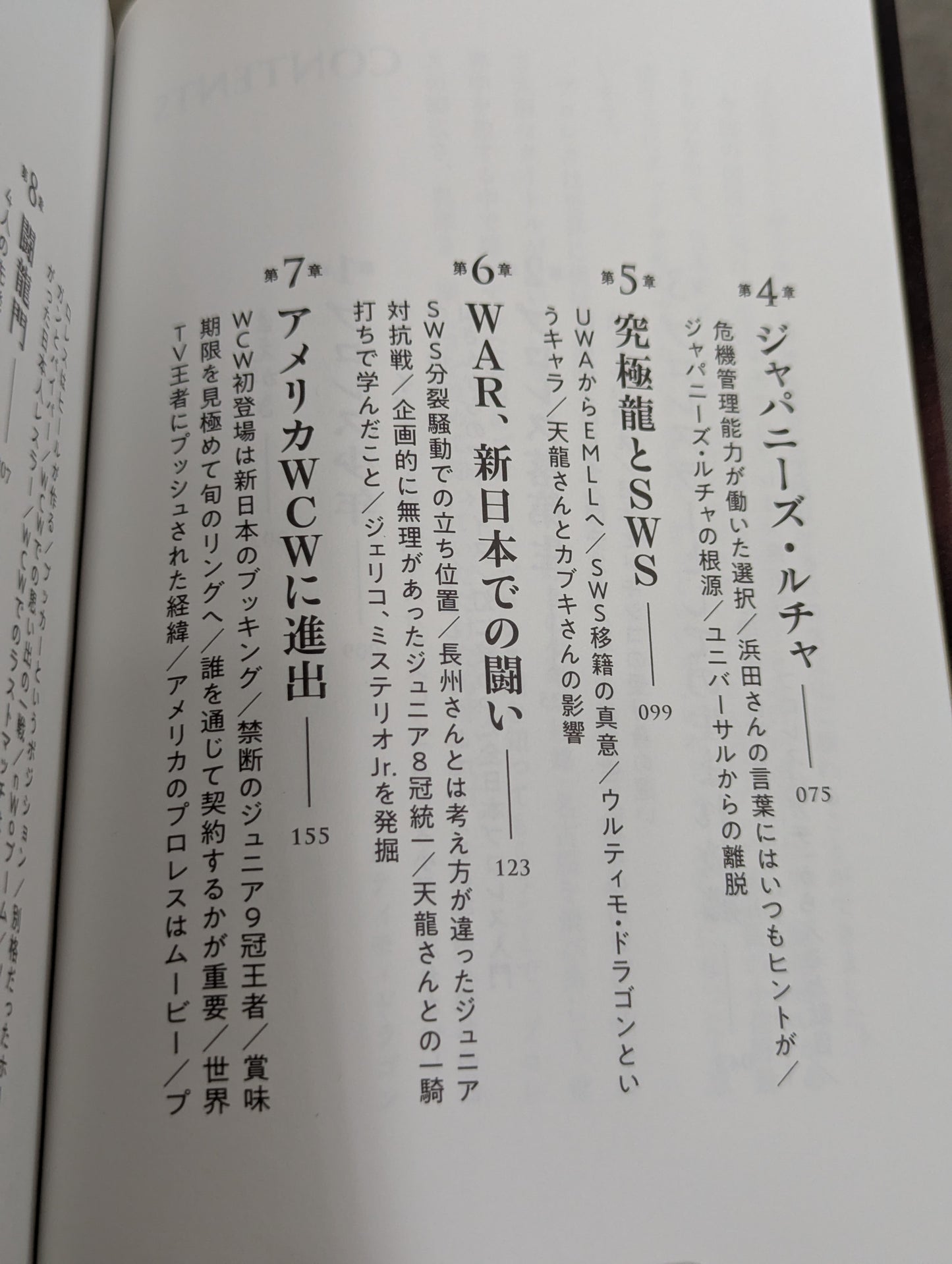 独学のプロレス