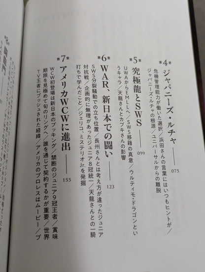 独学のプロレス