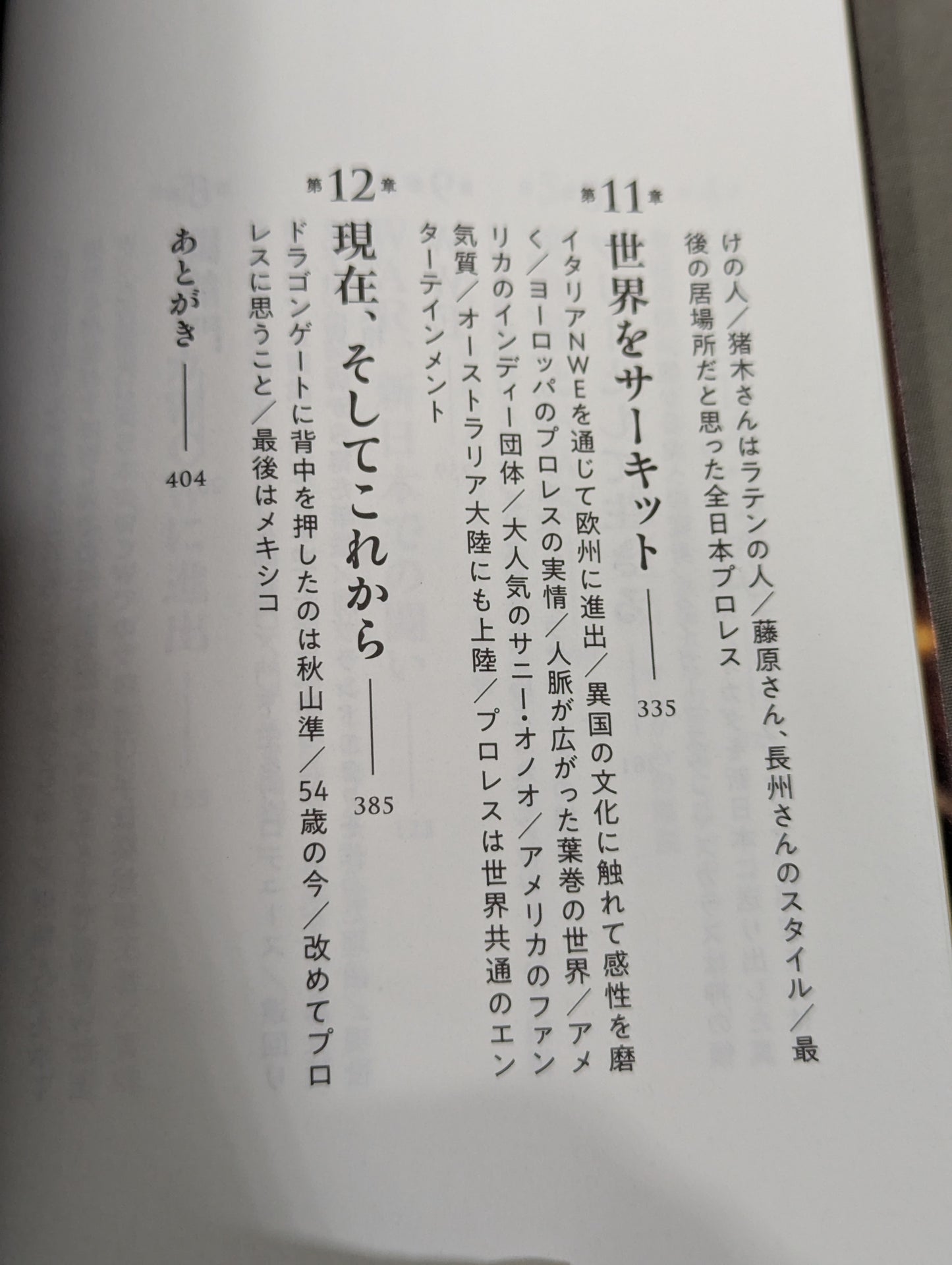 独学のプロレス