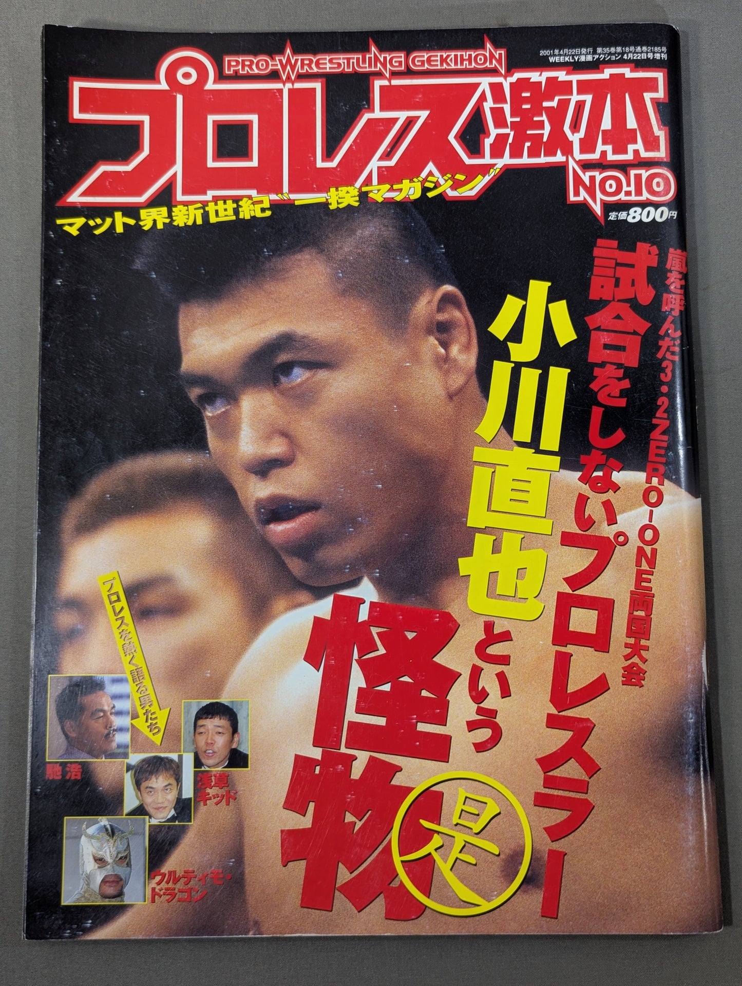 Pro Wrestling Extreme Book No.10
