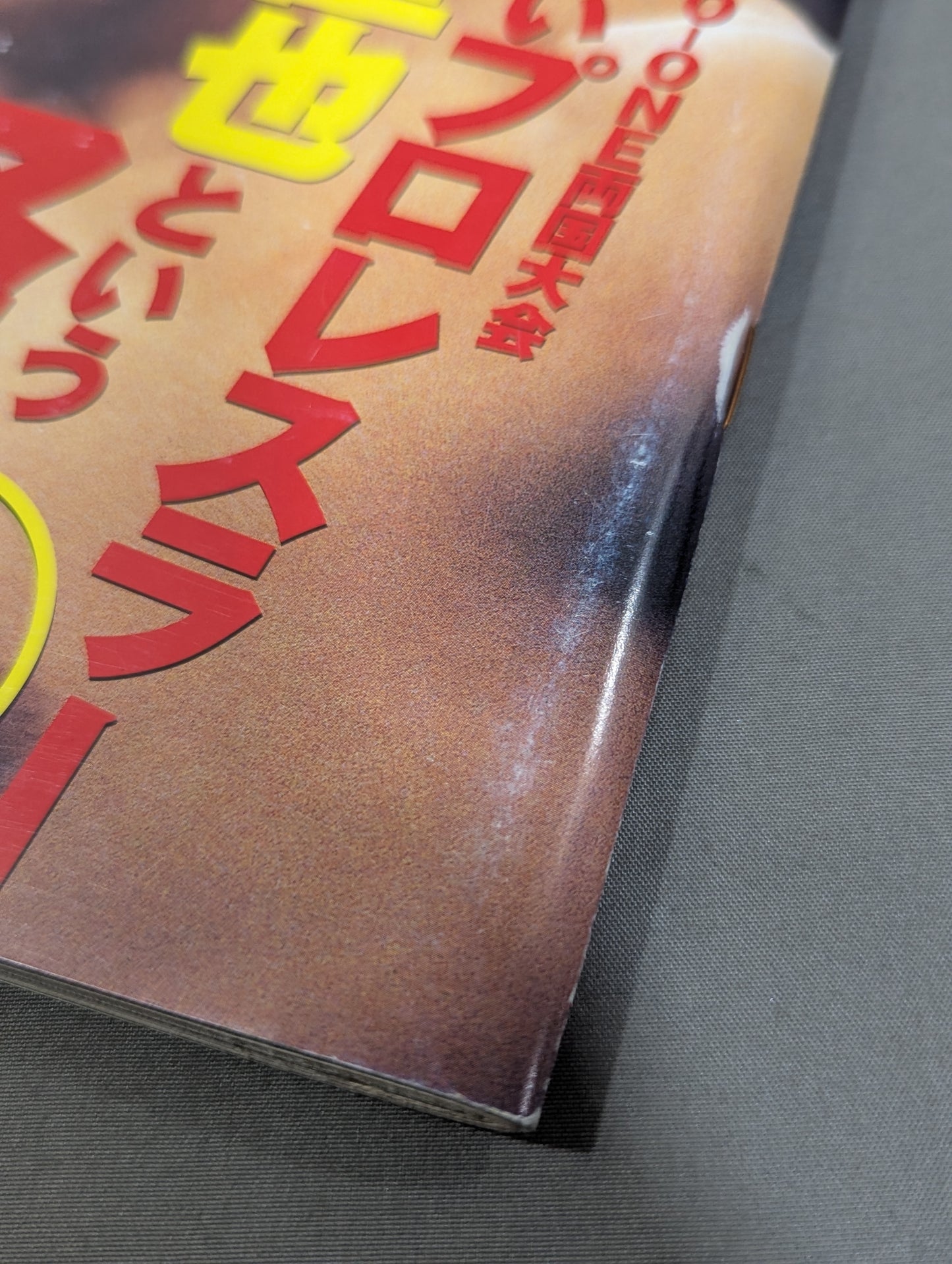 Pro Wrestling Extreme Book No.10