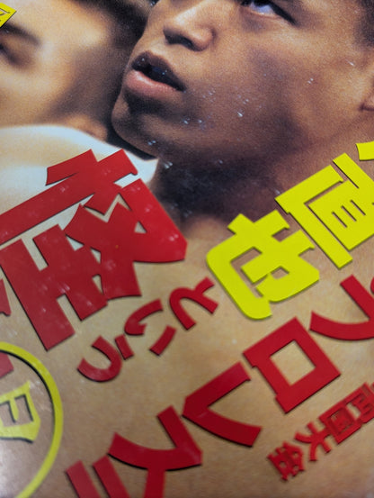 Pro Wrestling Extreme Book No.10