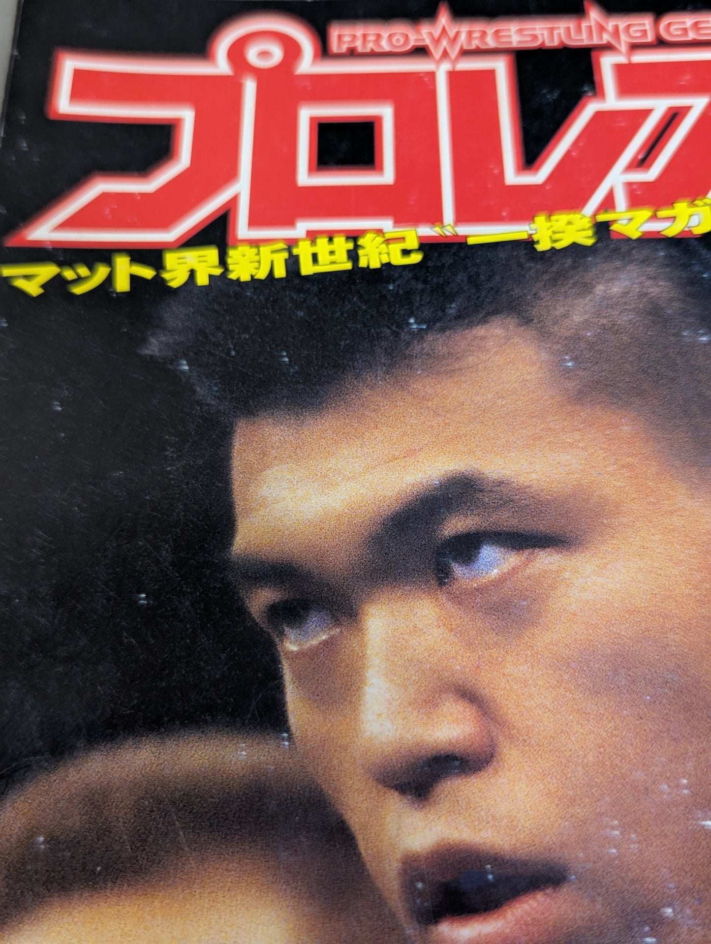 Pro Wrestling Extreme Book No.10