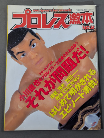 Pro Wrestling Extreme Book No.9