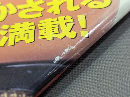 Pro Wrestling Extreme Book No.9