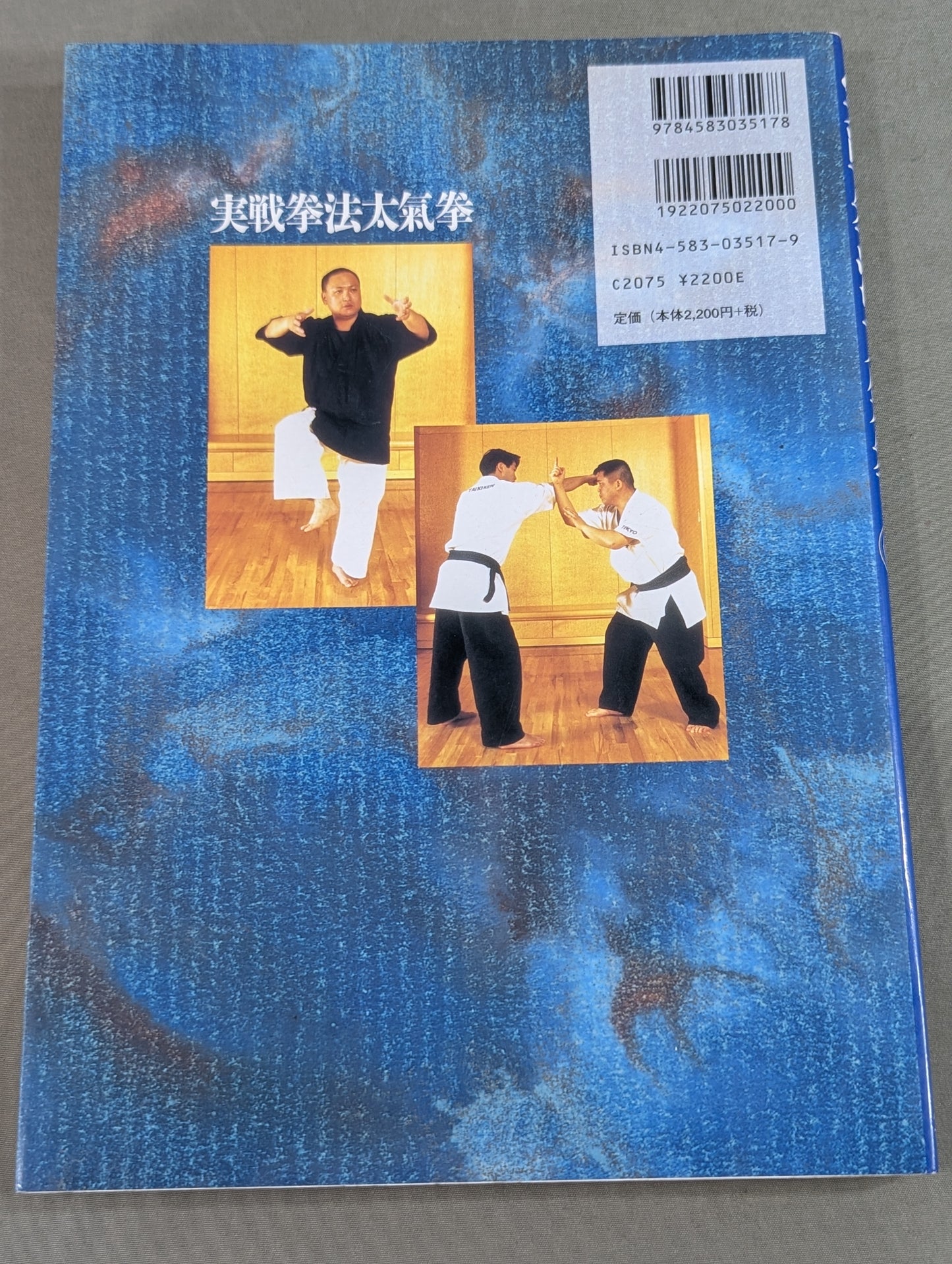 実戦拳法太氣拳