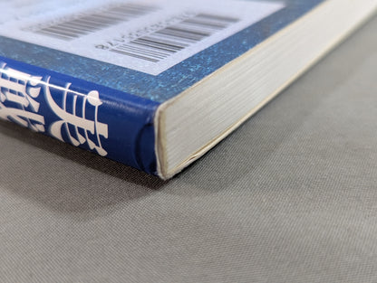 実戦拳法太氣拳