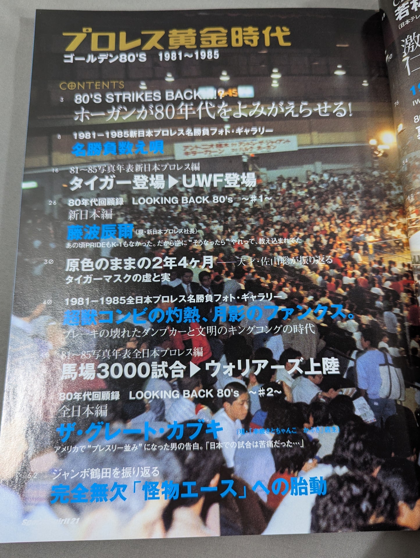 プロレス黄金時代 俺たちの好きだったゴールデン80’s あの頃、すべてのリングが熱かった