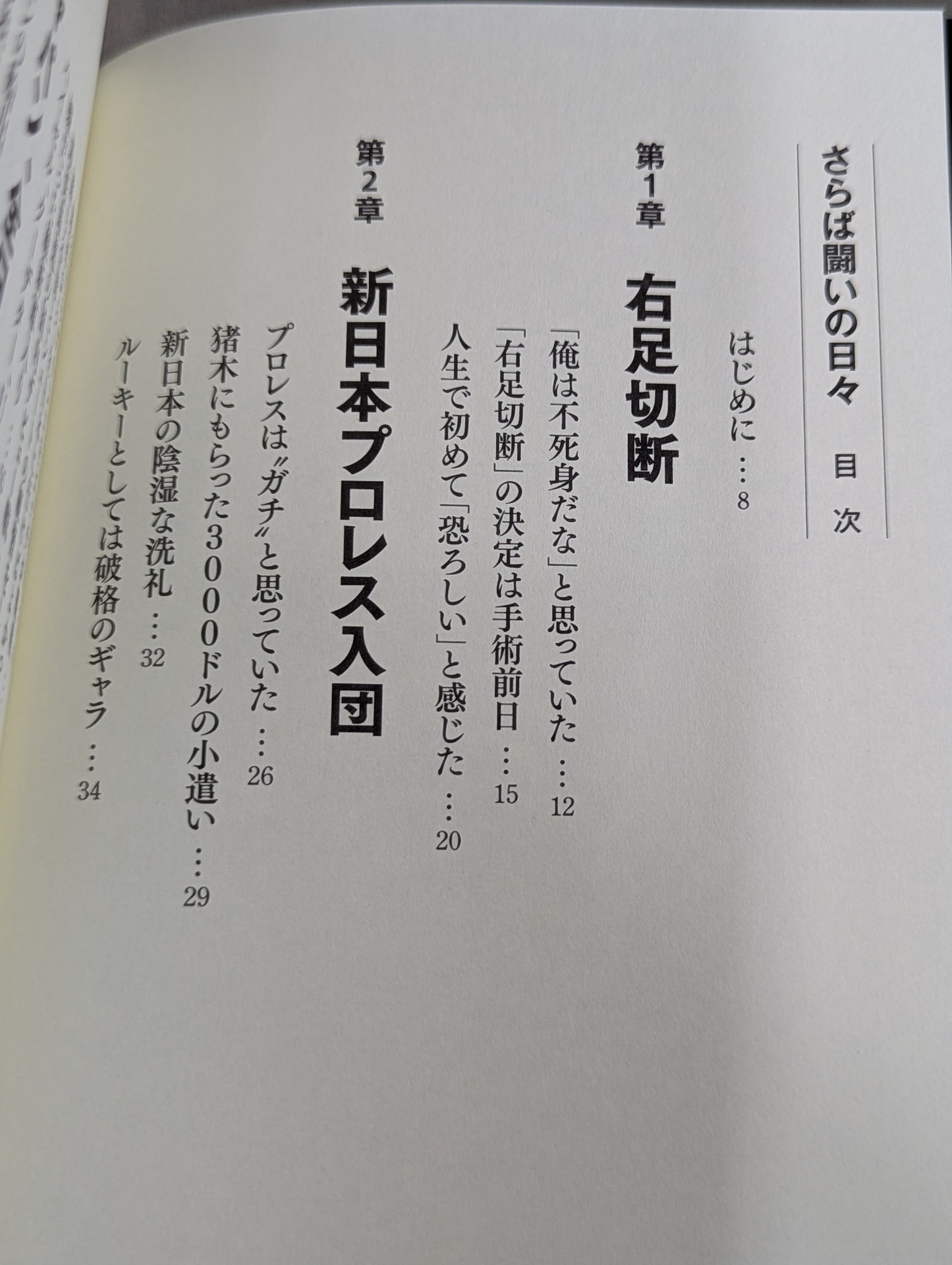 さらば闘いの日々