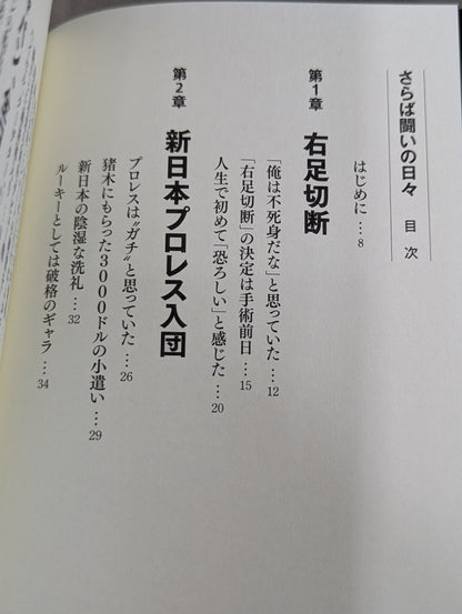 さらば闘いの日々