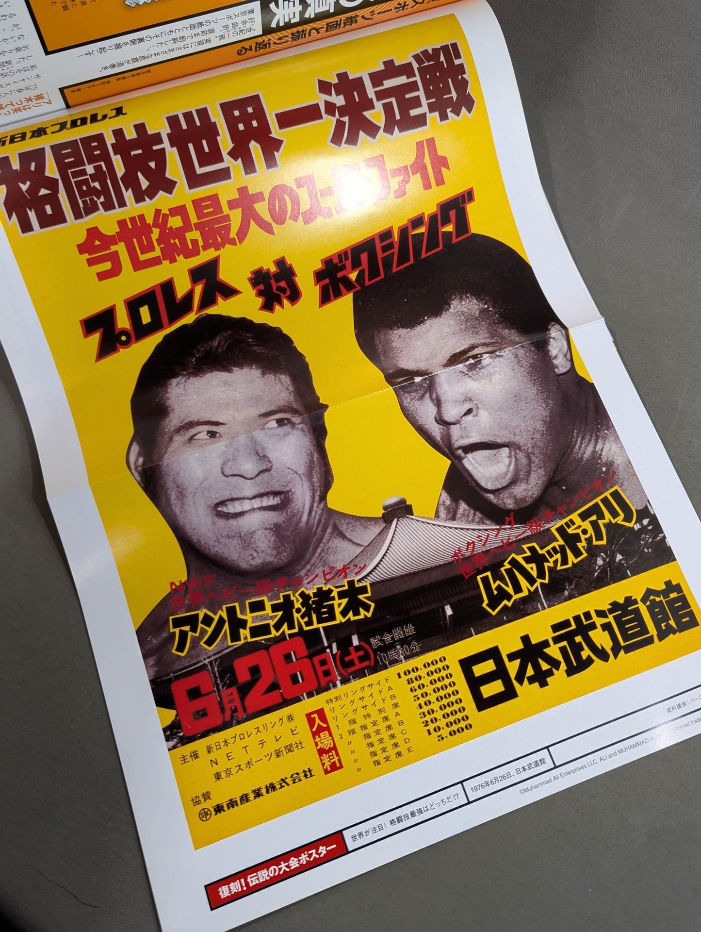 燃えろ!新日本プロレス エクストラ – 闘道館