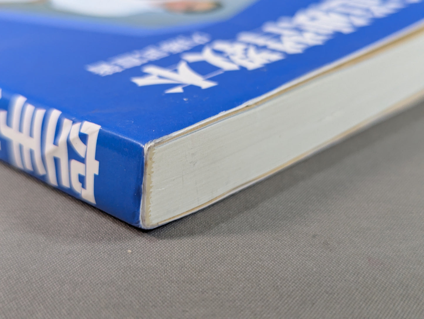 KARATE Taoist Self-Study Textbook Revised New Edition