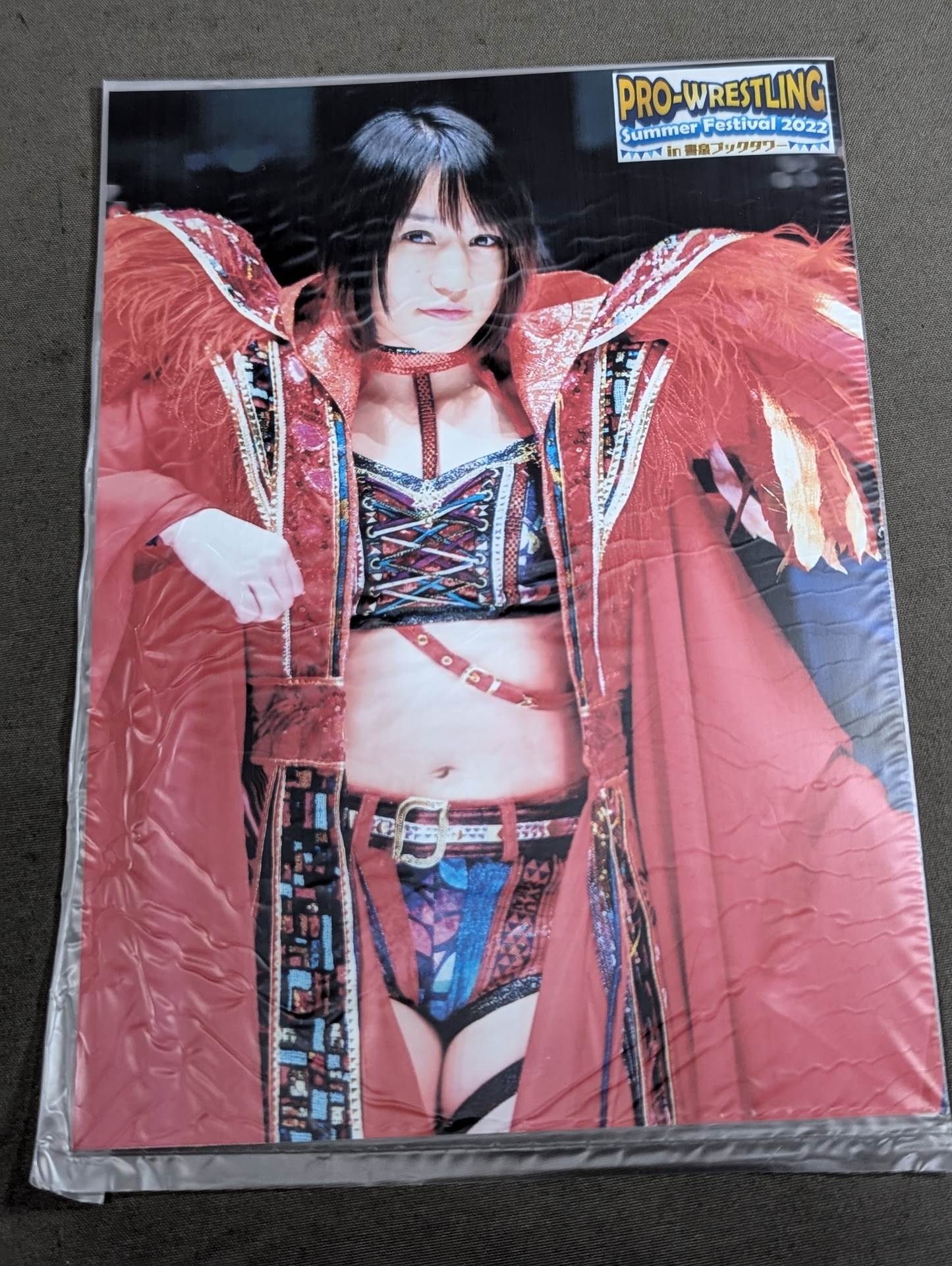 【直筆サイン＆特典ブロマイド付】朱里。－プロレス、キック、総合格闘技の頂点を見た者－