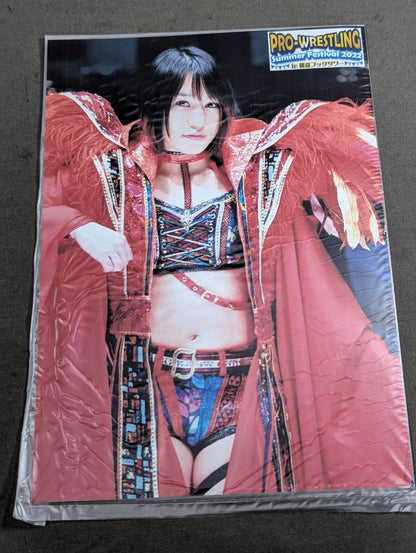 【直筆サイン＆特典ブロマイド付】朱里。－プロレス、キック、総合格闘技の頂点を見た者－