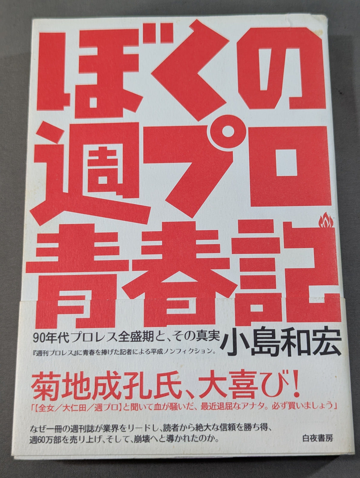 ぼくの週プロ青春記 90年代プロレス全盛期と、その真実