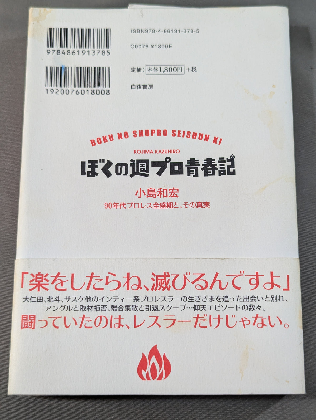 ぼくの週プロ青春記 90年代プロレス全盛期と、その真実