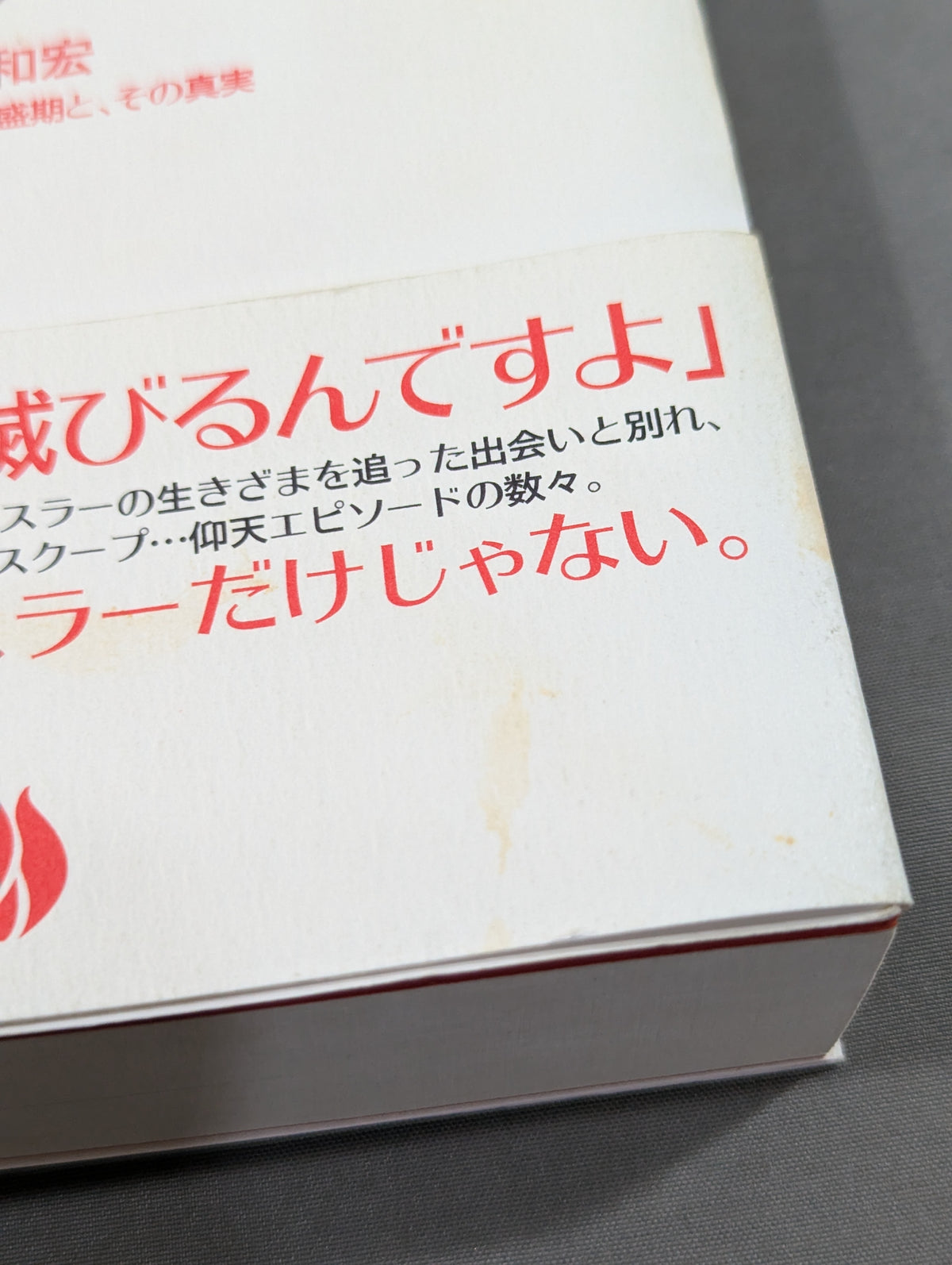 ぼくの週プロ青春記 90年代プロレス全盛期と、その真実