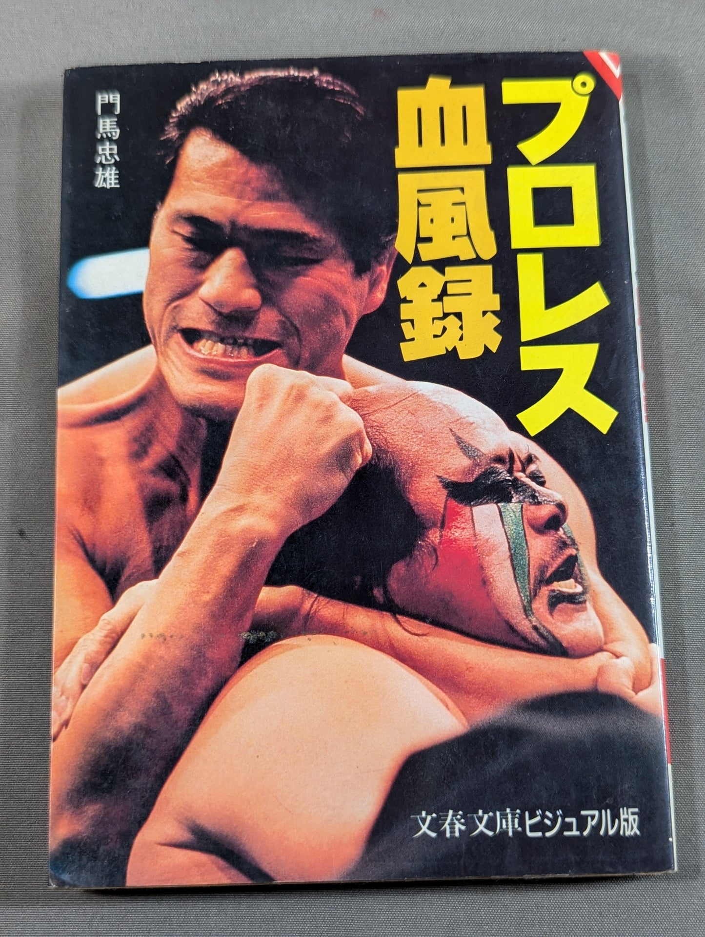 Pro Wrestling