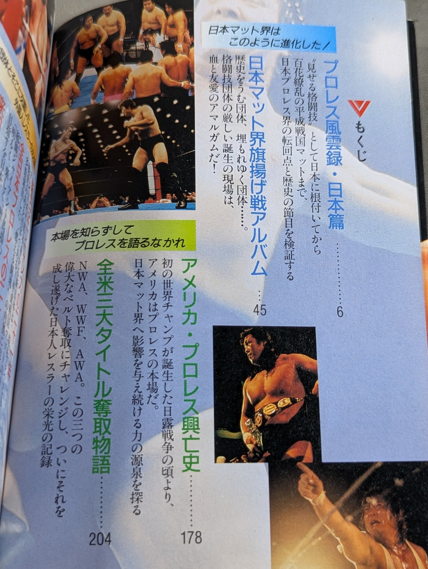 Pro Wrestling