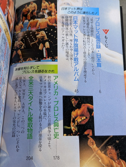 Pro Wrestling