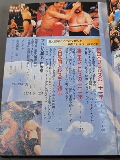 Pro Wrestling