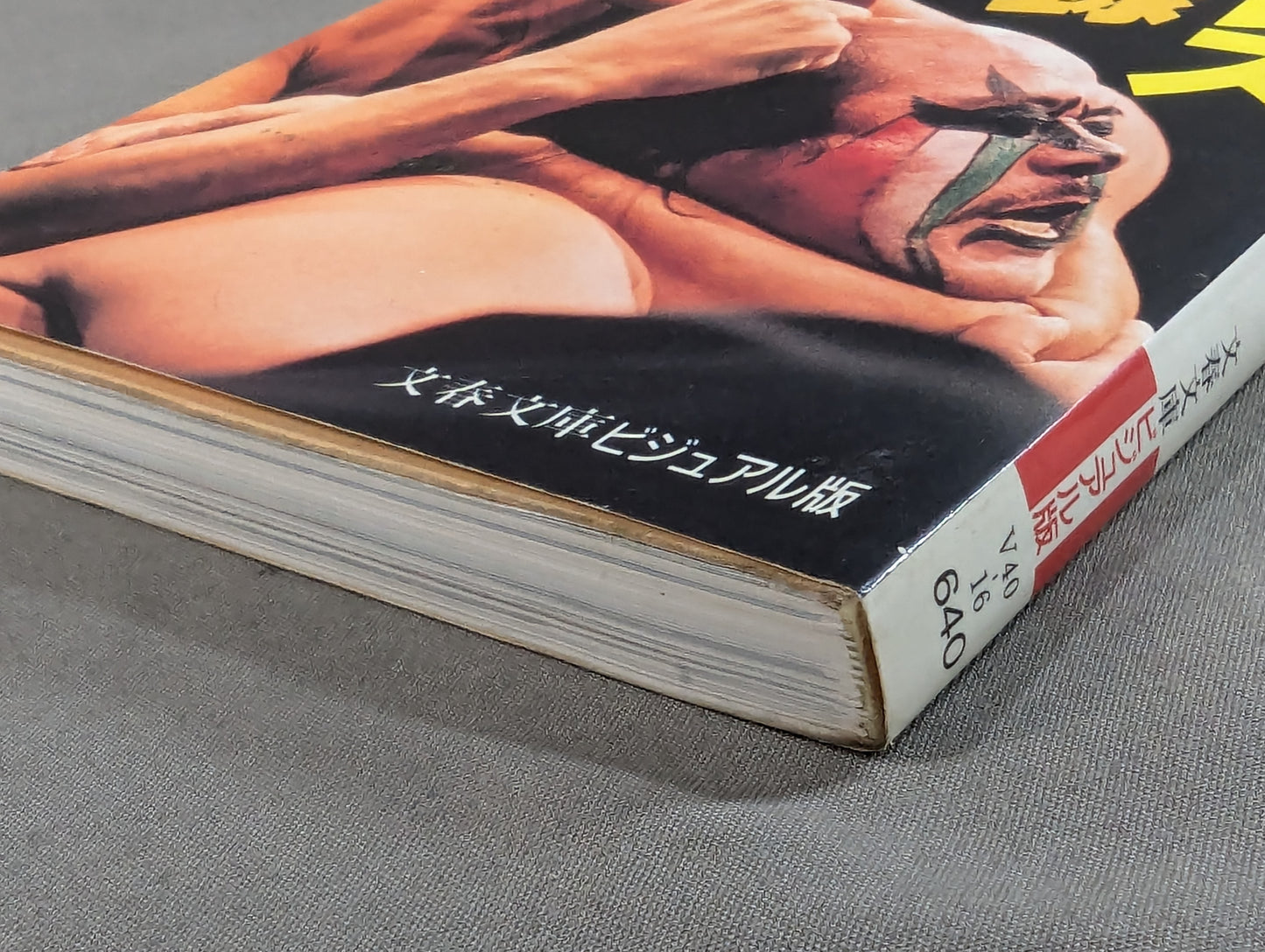 Pro Wrestling