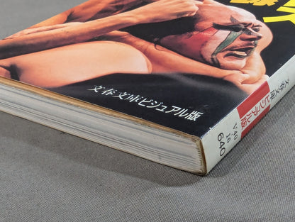 Pro Wrestling