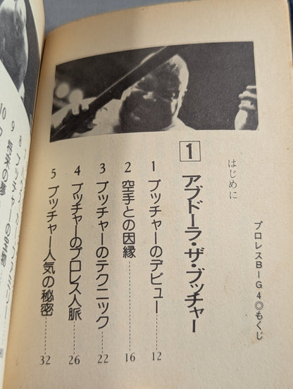 Bean Tanuki Book 145 Pro Wrestling  Big 4