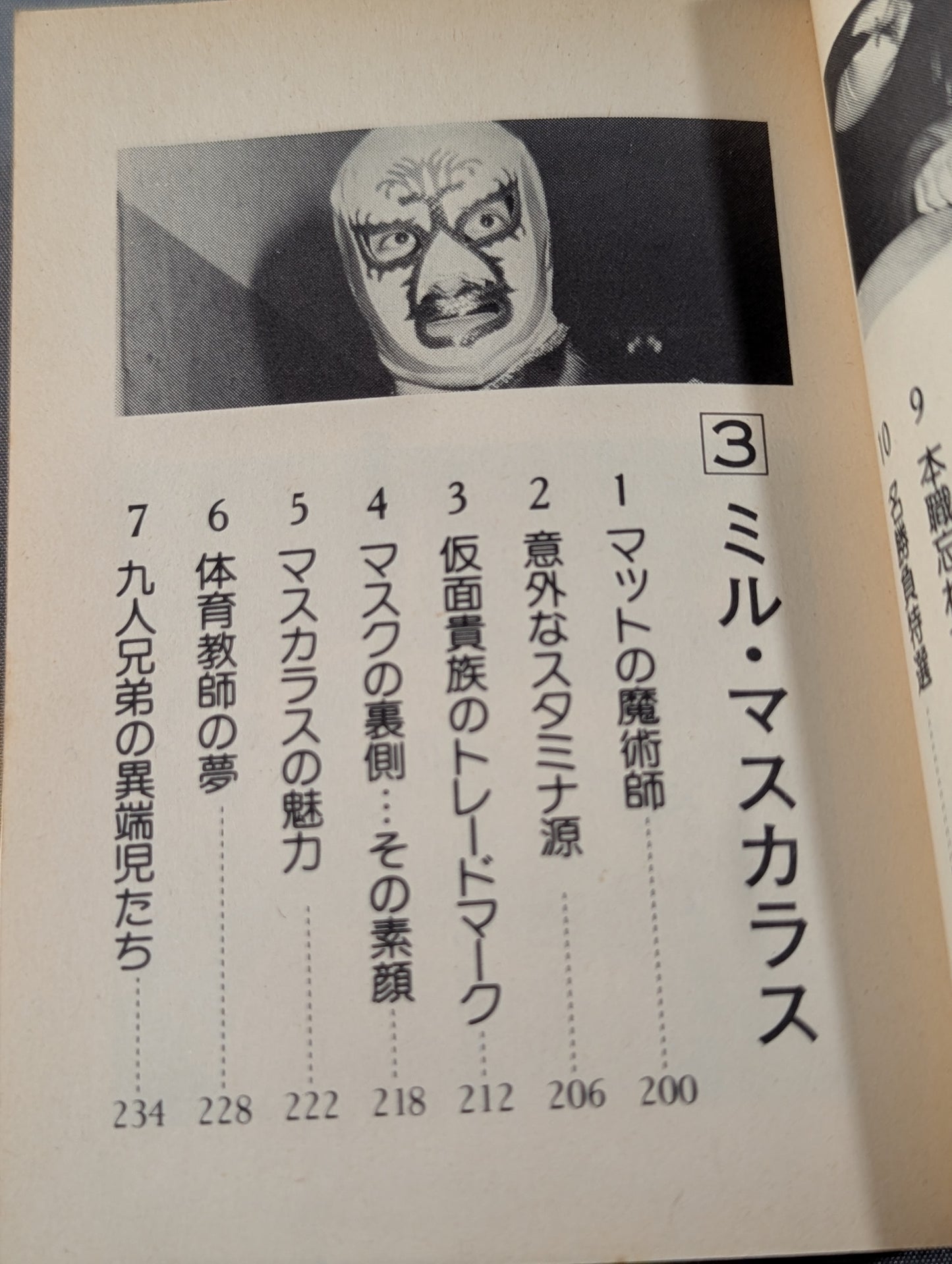 Bean Tanuki Book 145 Pro Wrestling  Big 4