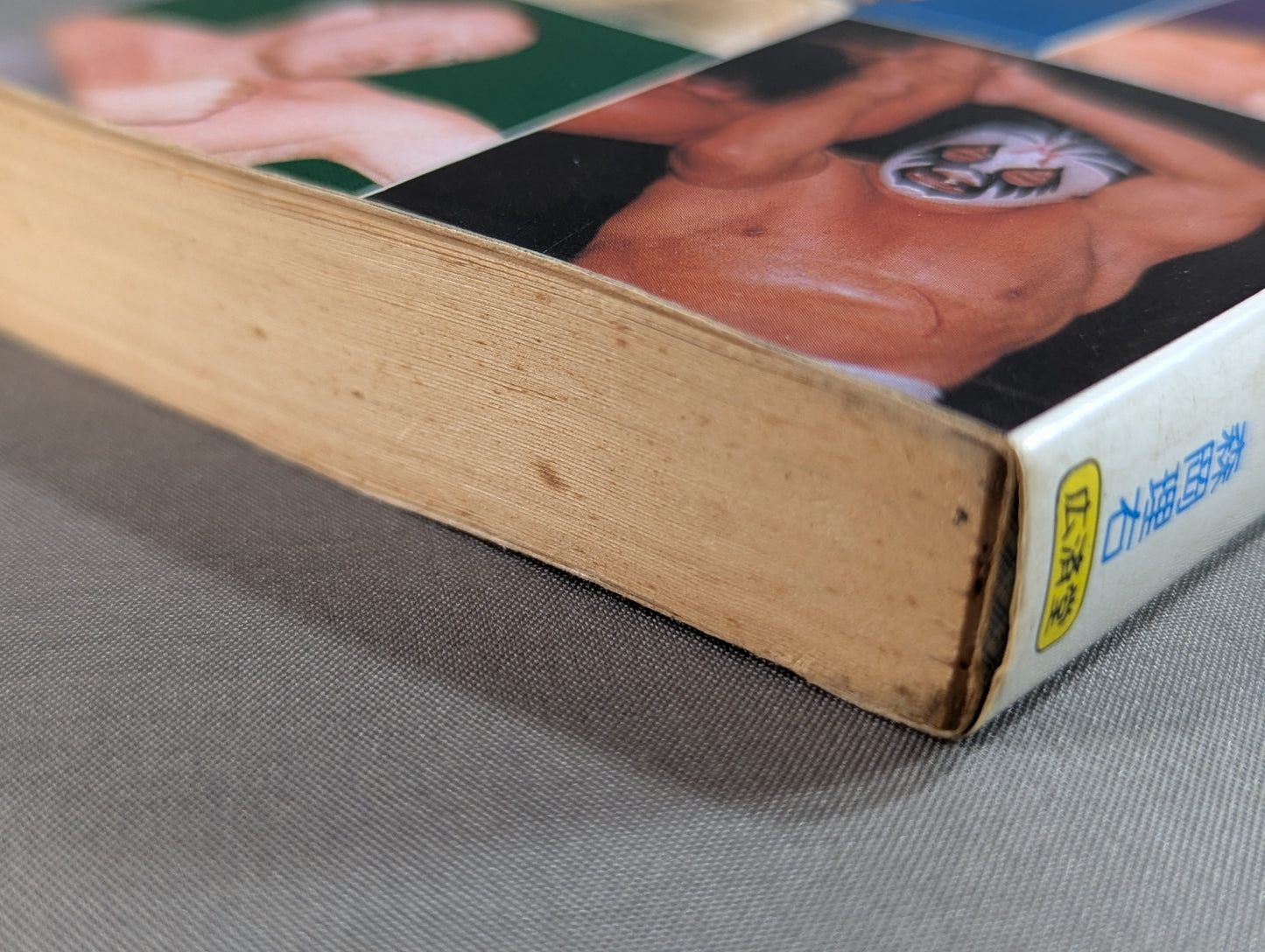 Bean Tanuki Book 145 Pro Wrestling  Big 4