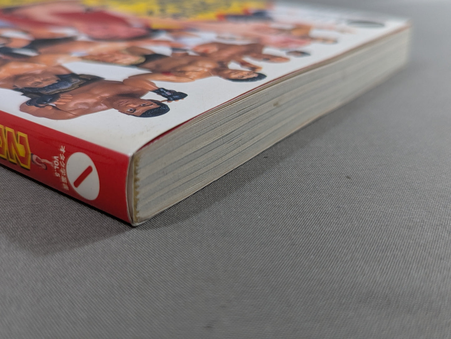 20th Century Pro Wrestling Fighting Figure Encyclopedia