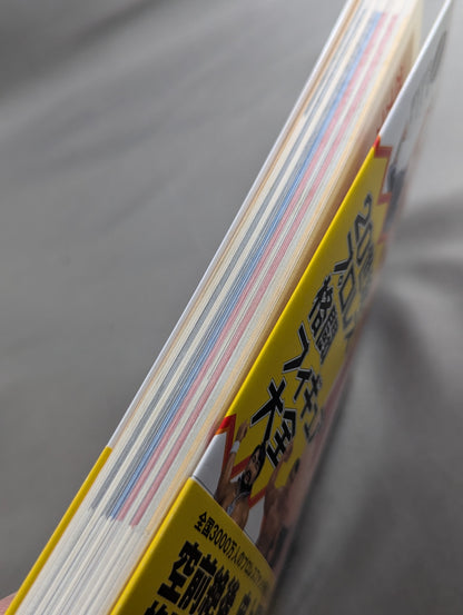 20th Century Pro Wrestling Fighting Figure Encyclopedia