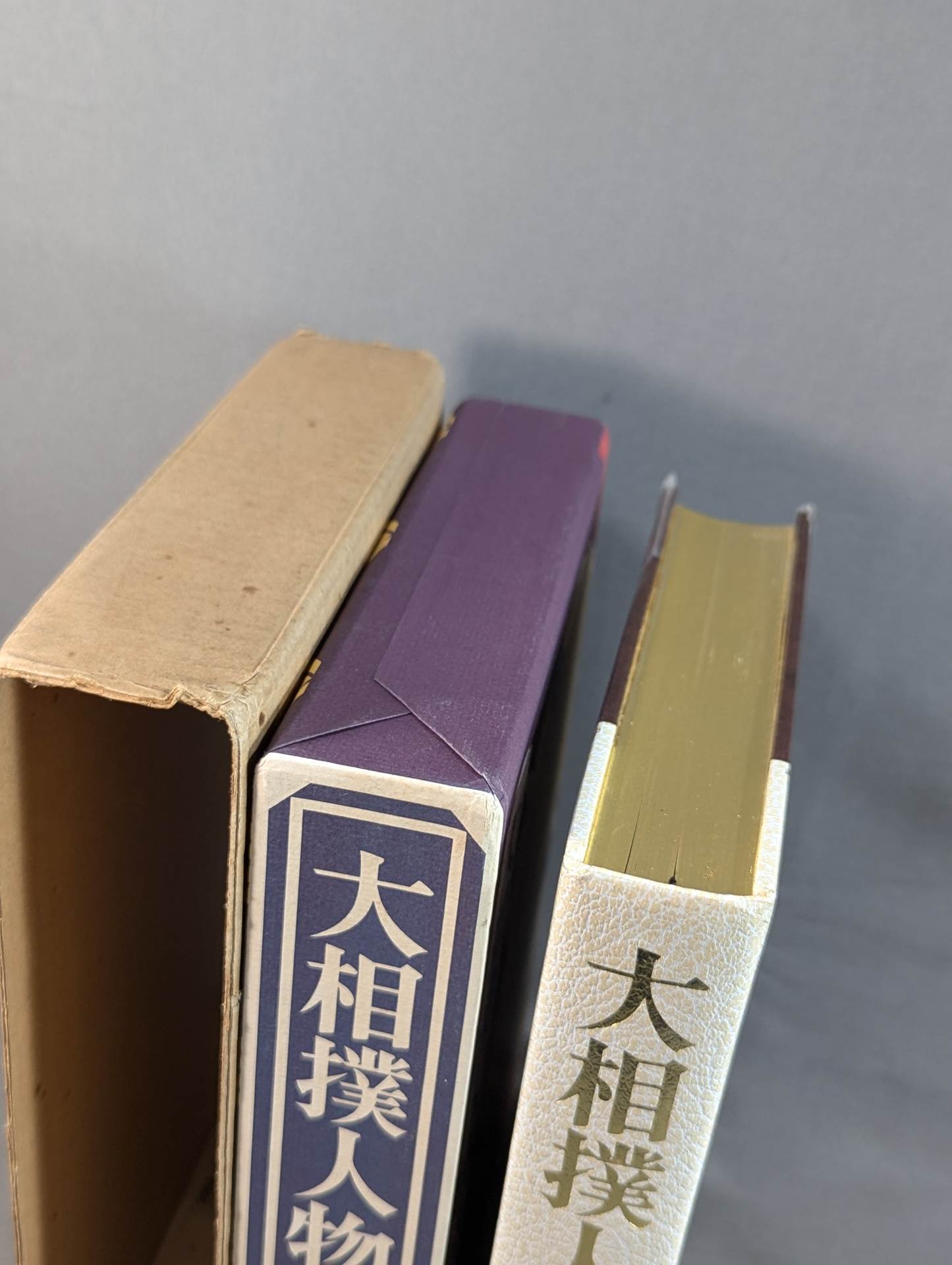 大相撲人物志