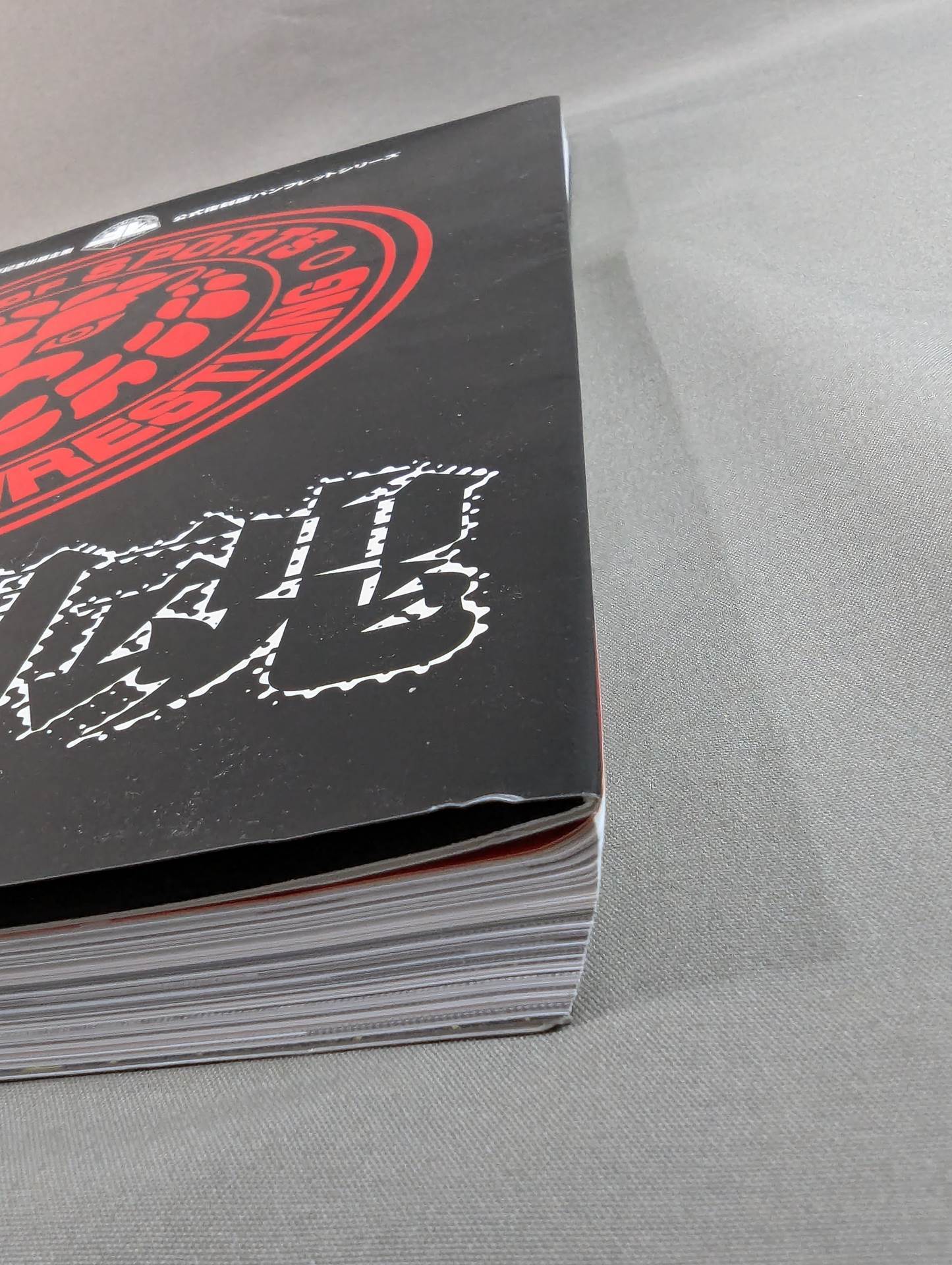 燃える闘魂 新日本プロレスリング30周年記念出版企画 公式復刻版パンフレットシリーズ 格闘技世界一決定戦・編