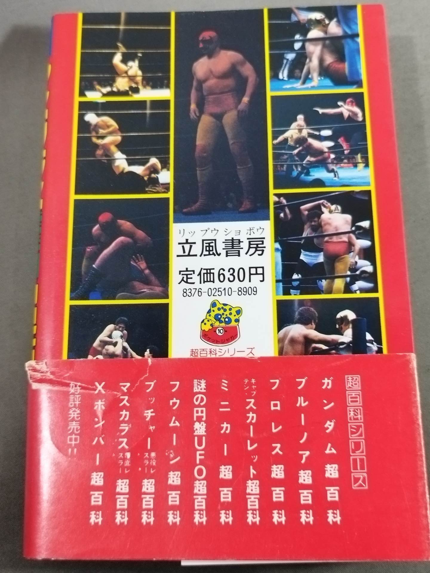 Mascara Masked Wrestler Super Encyclopedia