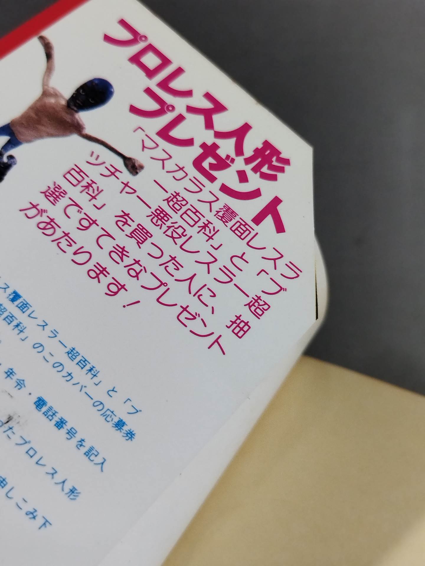 Mascara Masked Wrestler Super Encyclopedia