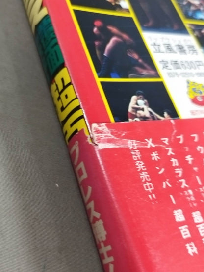 Mascara Masked Wrestler Super Encyclopedia