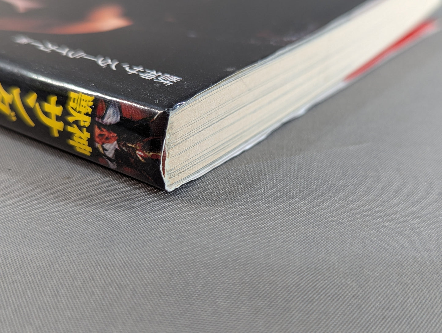 獣神サンダーライガーの肉体改造塾