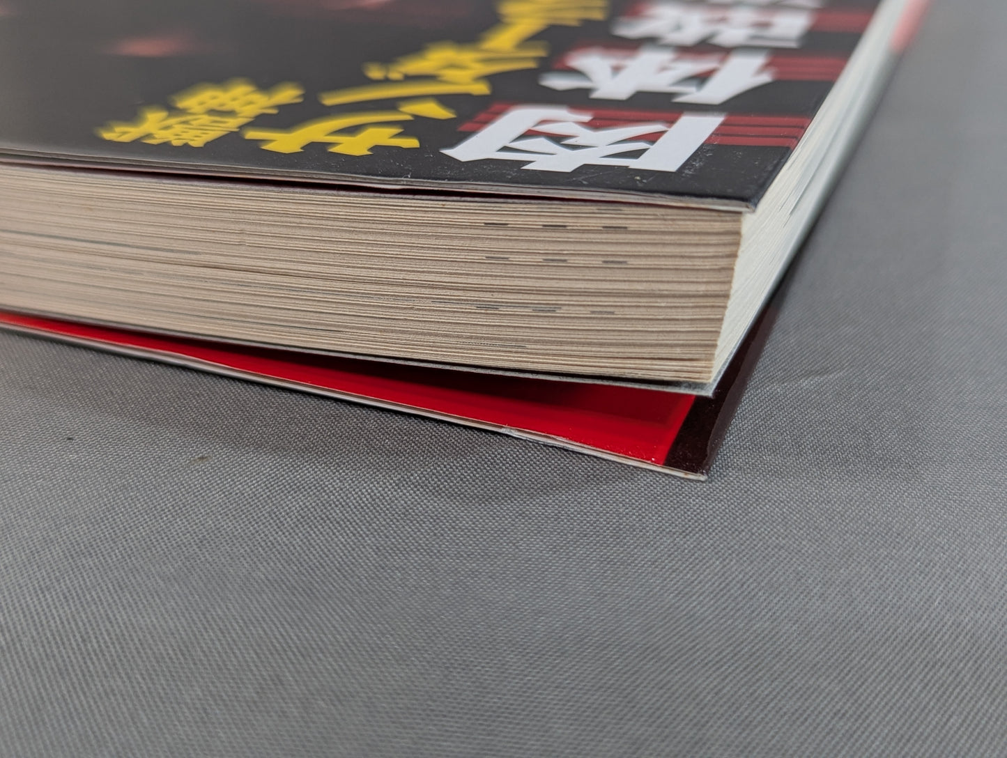 獣神サンダーライガーの肉体改造塾