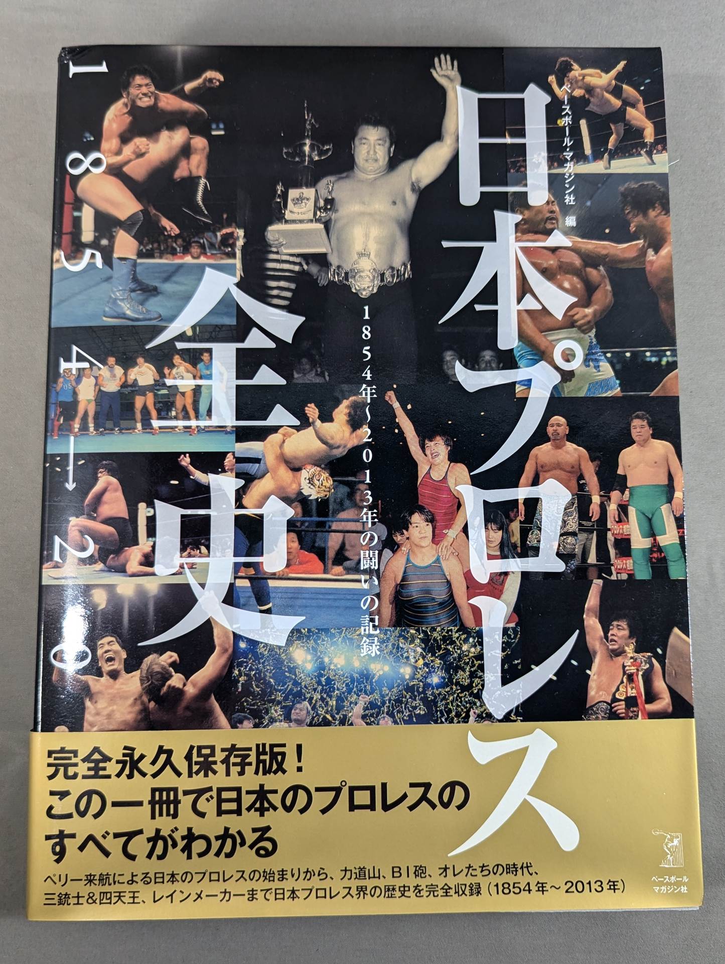日本プロレス全史  1854～2013年の闘いの記録