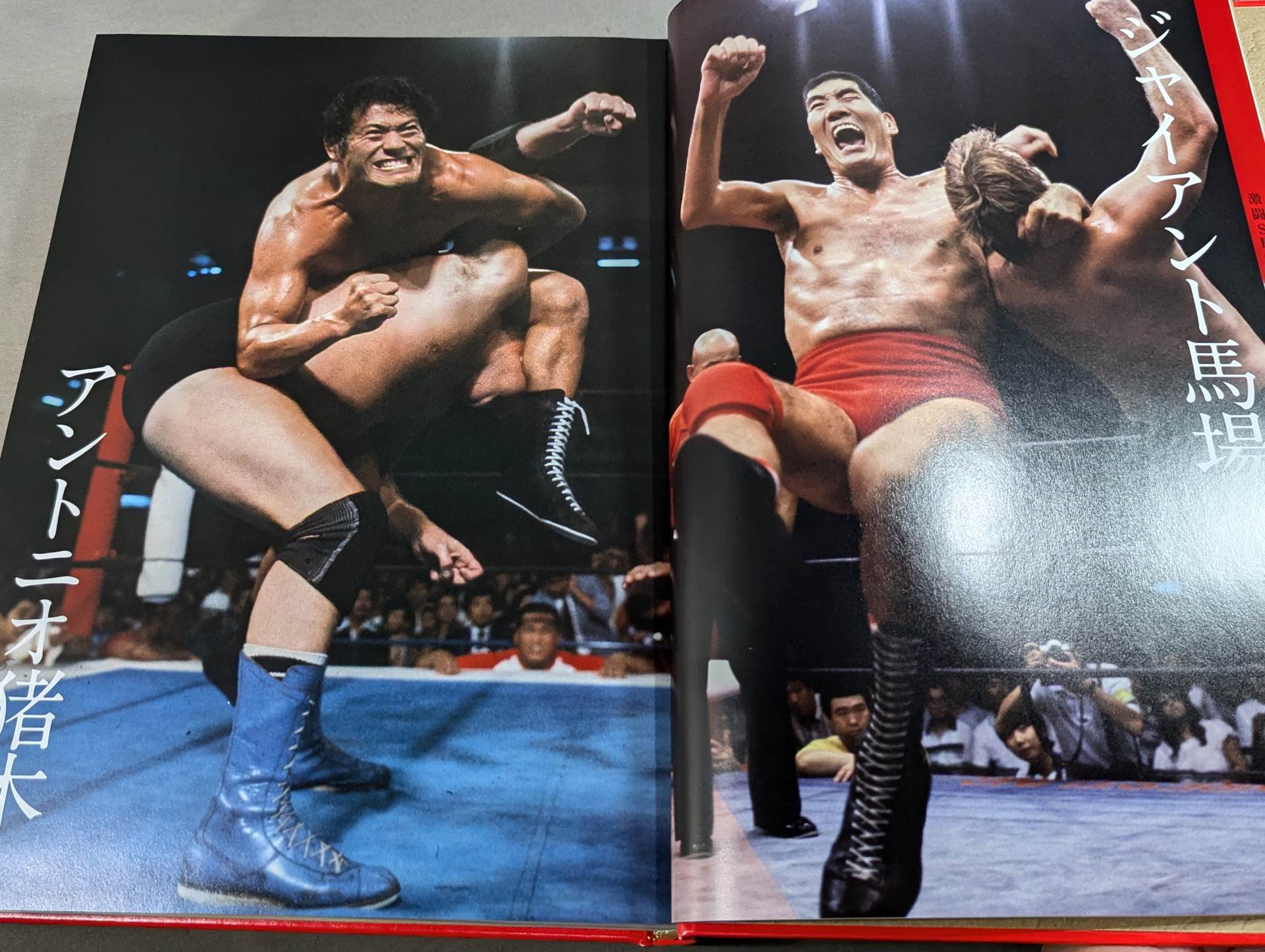 日本プロレス全史 1854～2013年の闘いの記録 – 闘道館