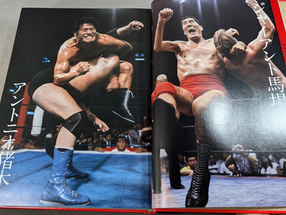 日本プロレス全史  1854～2013年の闘いの記録