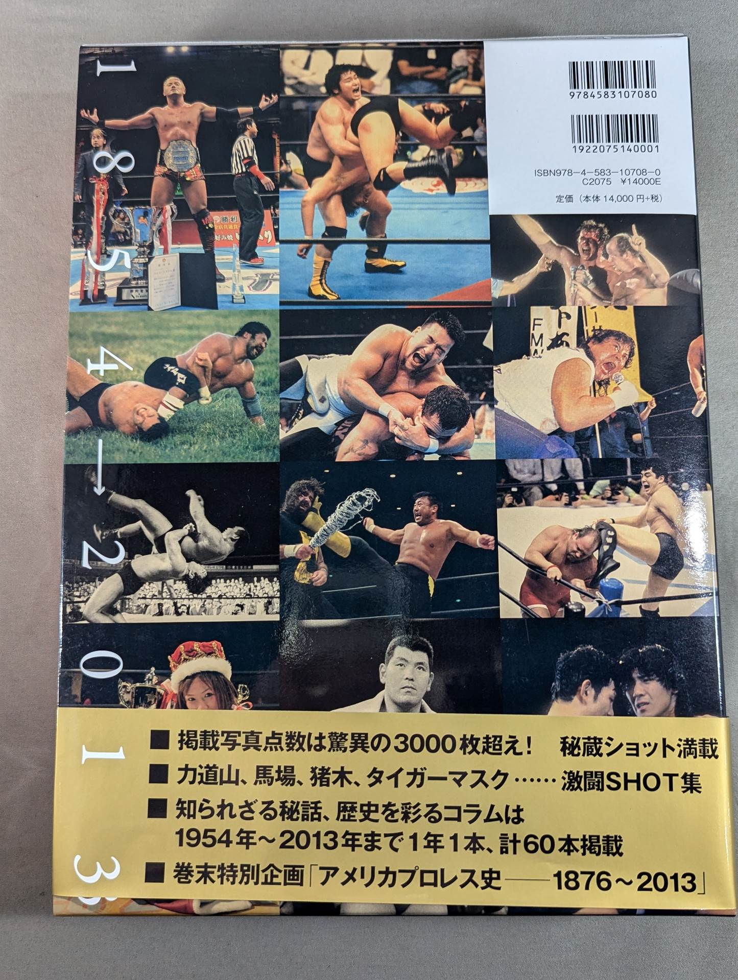 日本プロレス全史 1854年～2013年の闘いの記録 日本プロレス全史 1854～2013年の闘いの記録 – 闘道館