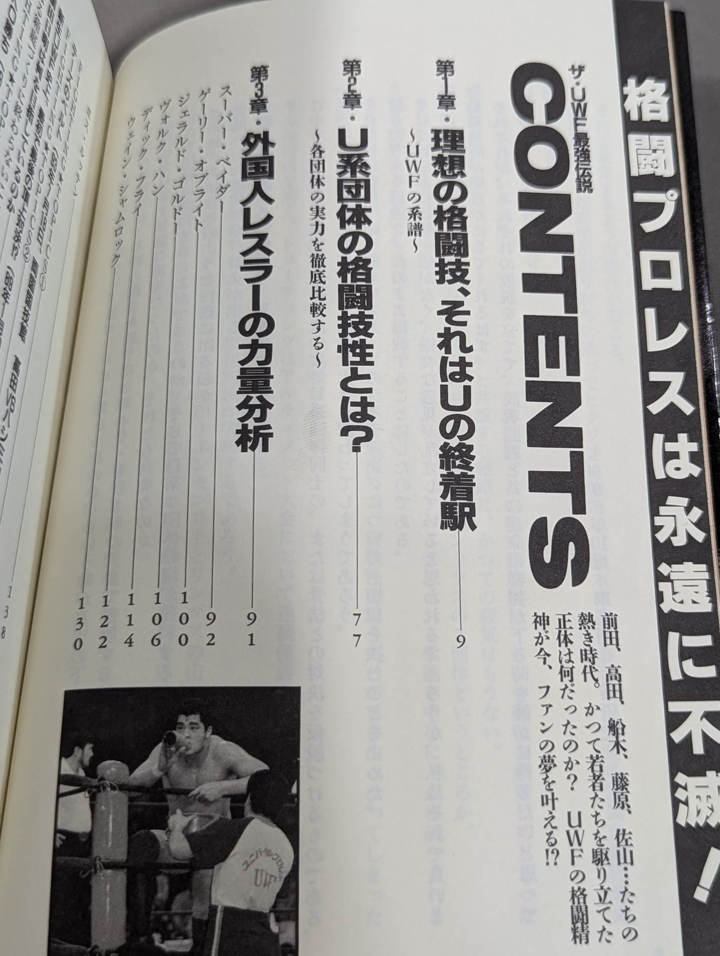 ザ・UWF最強伝説
