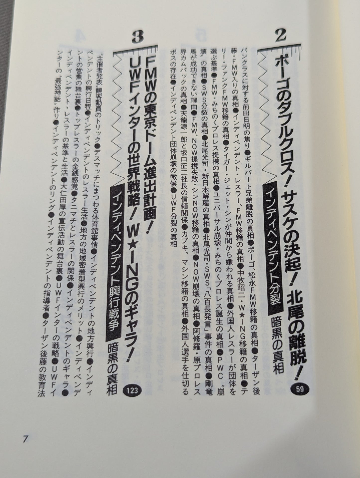 Pocket Book 62 Atsushi Onita  UWF "Darkness The Truth About Pro Wrestling