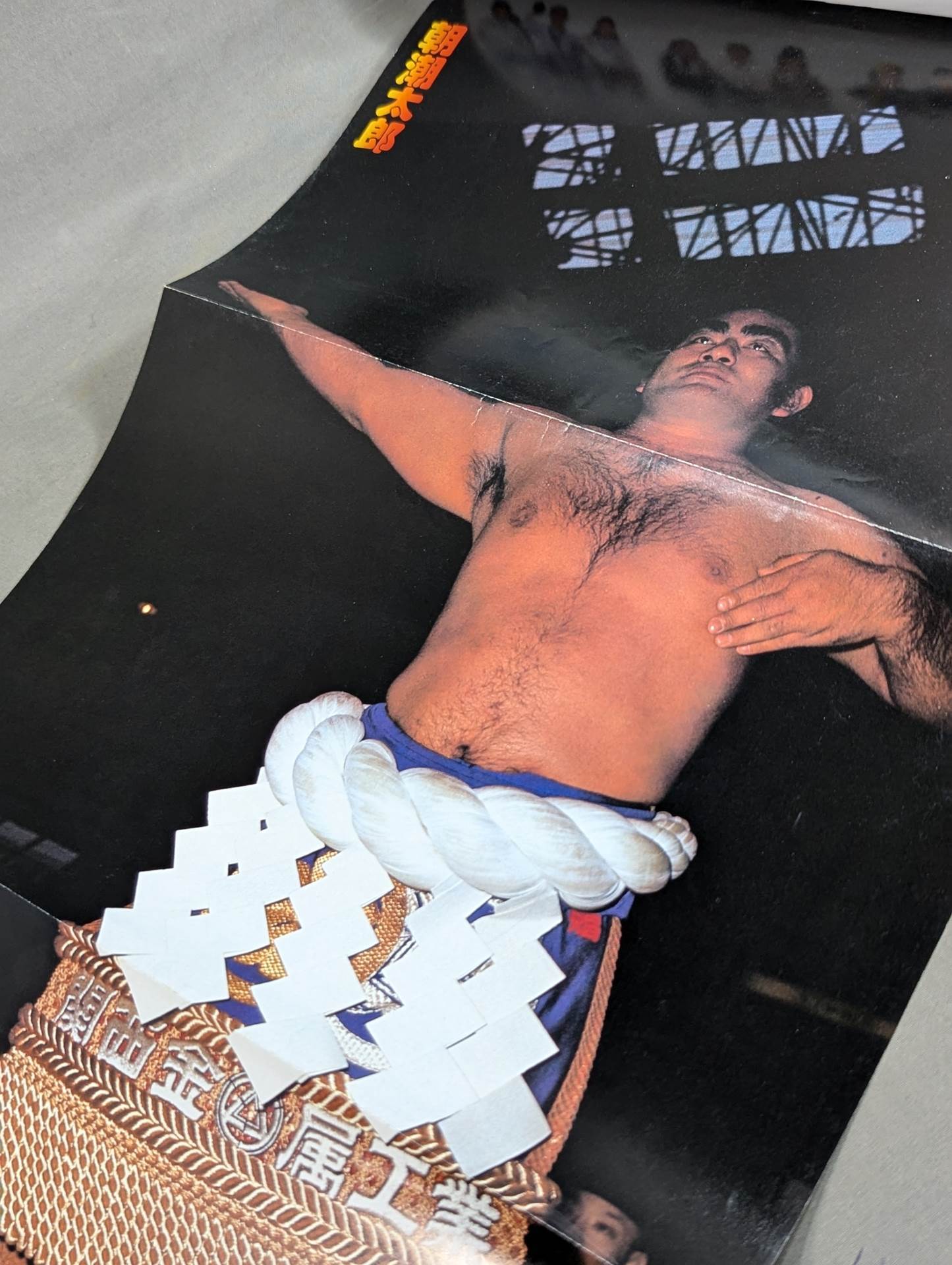 昭和の名横綱シリーズ⑩ 東富士欽壹 – 闘道館