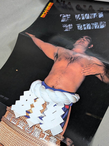 昭和の名横綱シリーズ⑩ 東富士欽壹
