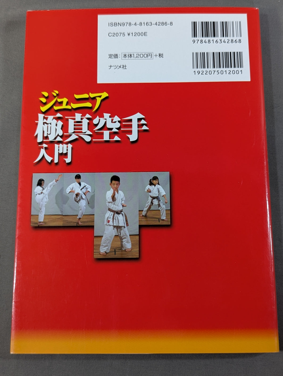 Junior Kyokushin KARATE  Introduction: Strengthen Your Mind and Body in Kyokushin KARATE 