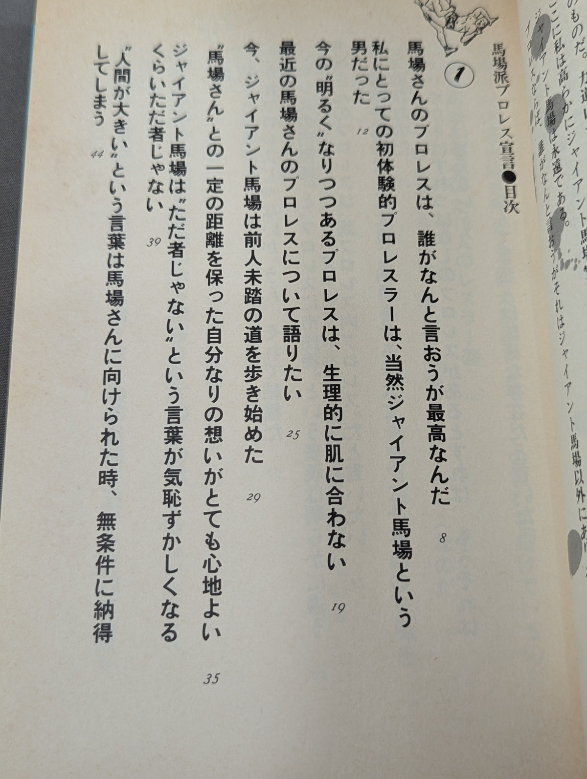 Baba faction Pro Wrestling declaration